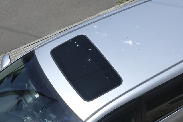 鳥のフンを付けられた車