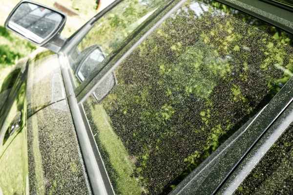 花粉が付着した車の窓や左サイド
